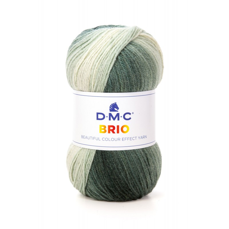 DMC Lana Brio sfumato 100g gomitolo 403 - 1