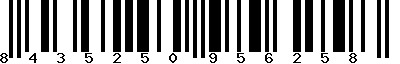 EAN-13 : 8435250956258