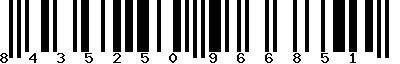 EAN-13 : 8435250966851